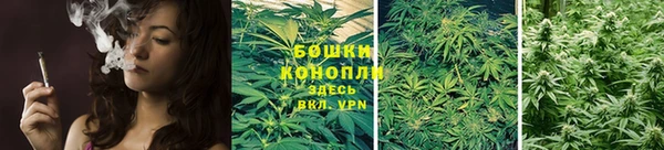 молекула духа Медногорск