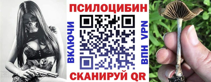 Псилоцибиновые грибы Magic Shrooms гидра зеркало Задонск где купить наркоту