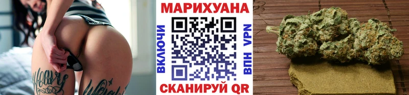 Конопля гибрид  Задонск 